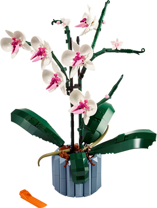 LEGO Creator Expert Botanical Collection Orchid 10311 (Crease on Box)
