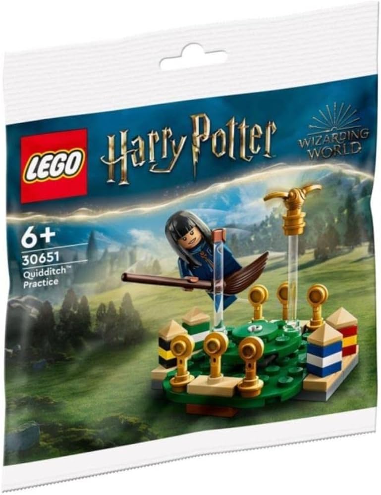 LEGO POLYBAG Harry Potter Quidditch Practice 30651
